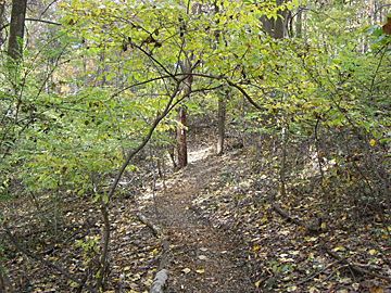 Map For Entrance Sign 